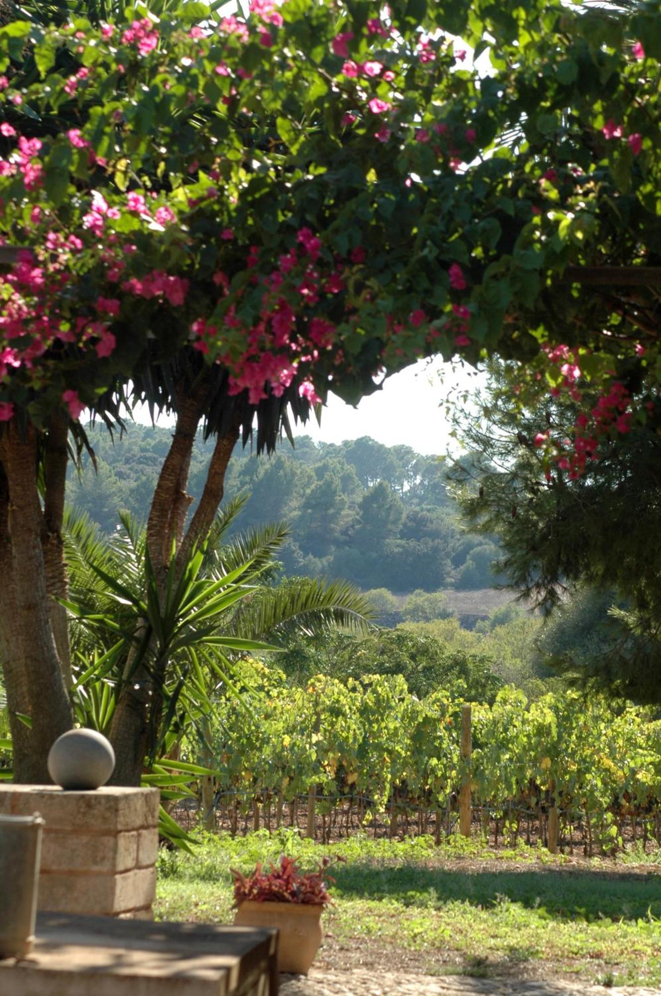Oliver Moragues Grandhouse & Vineyard Algaida  Bagian luar foto
